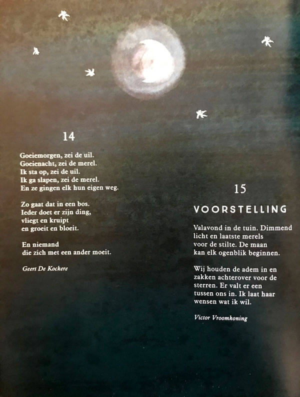 Pagina-43-ik-wou-dat-ik-een-vogel-was.jpg