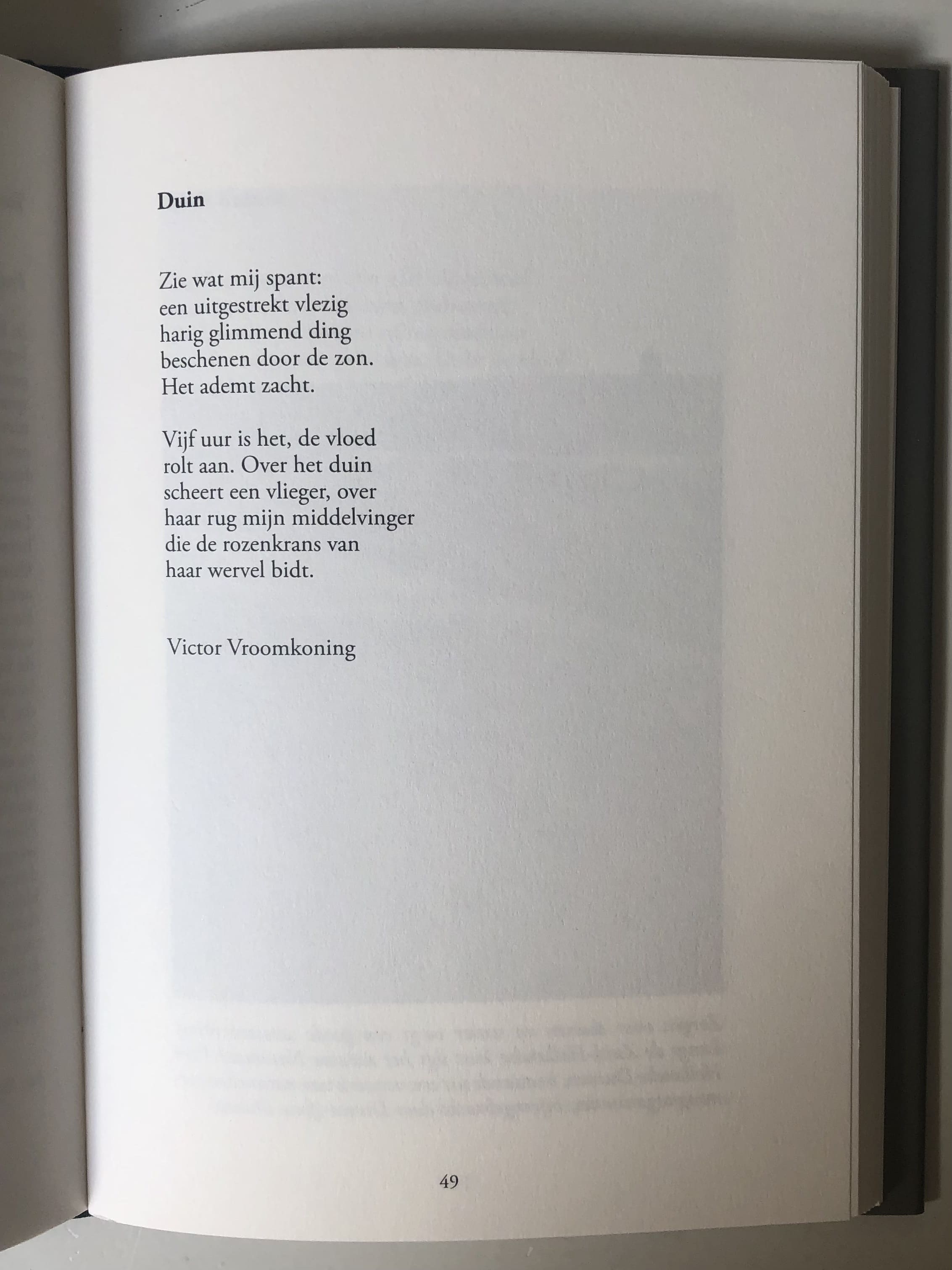 pagina_49_duin.jpg