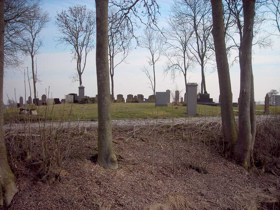 wierum3